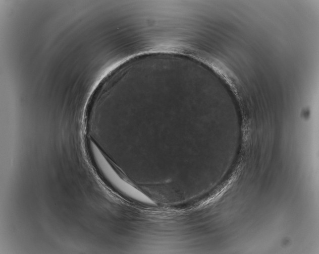 X0000097951077200804070959