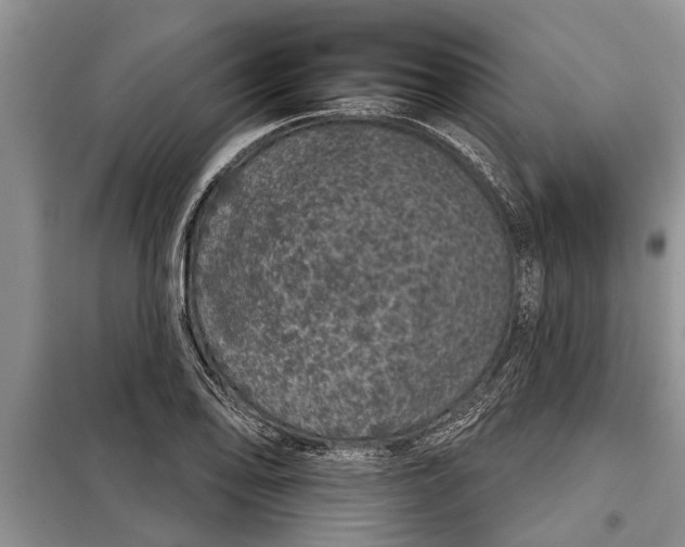 X0000097951078200804070959