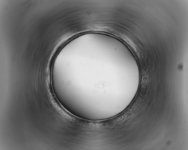 X0000097951080200804070959