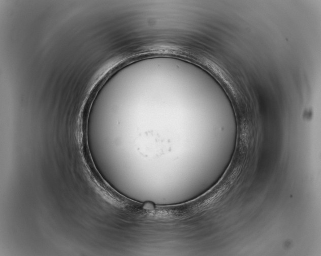 X0000097951082200804070959
