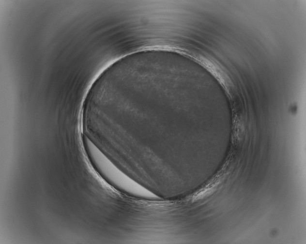 X0000097951084200804070959