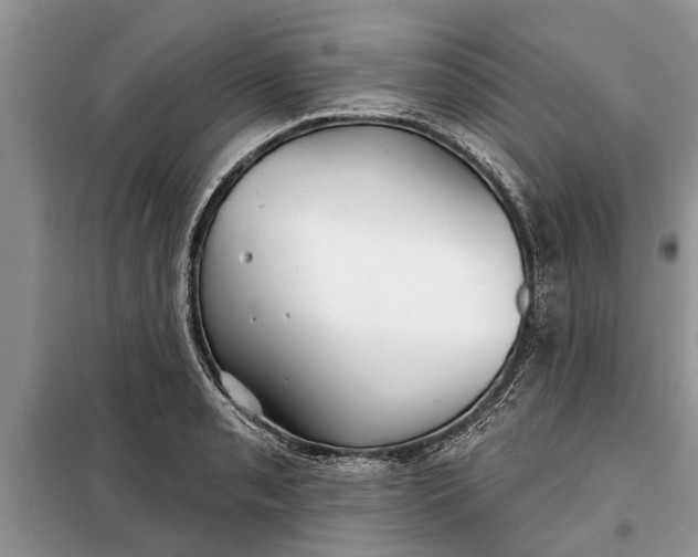 X0000097951085200804070959