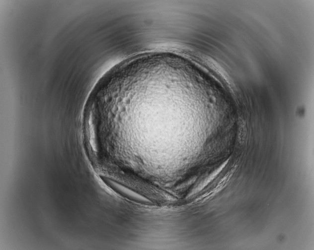 X0000097951087200804070959