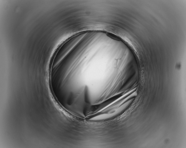 X0000097951088200804070959
