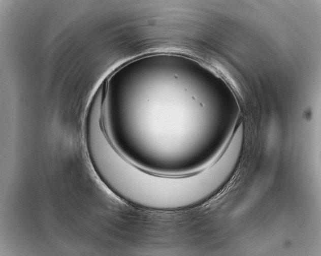 X0000097951092200804070959