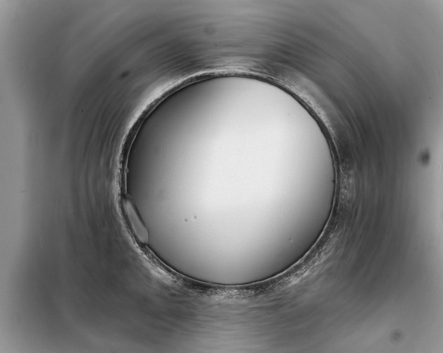 X0000097951093200804070958