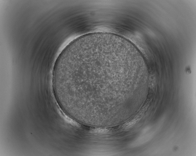 X0000097951094200804070958