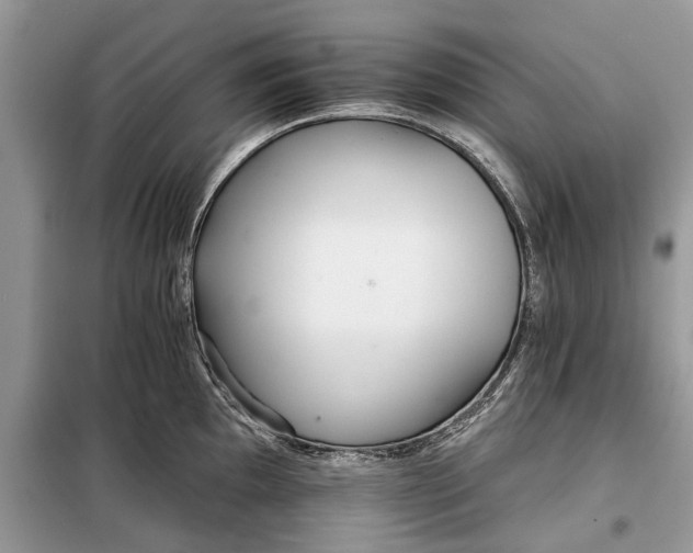 X0000097951097200804070958