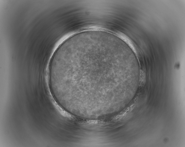 X0000097951098200804070958