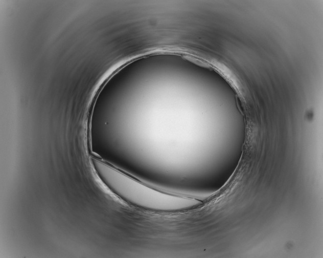 X0000097951100200804070958