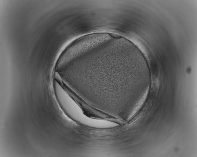 X0000097951102200804070958