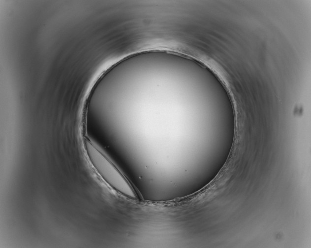 X0000097951104200804070958
