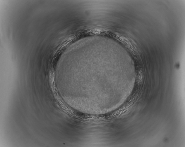 X0000097951105200804070958