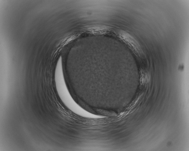 X0000097951108200804070958