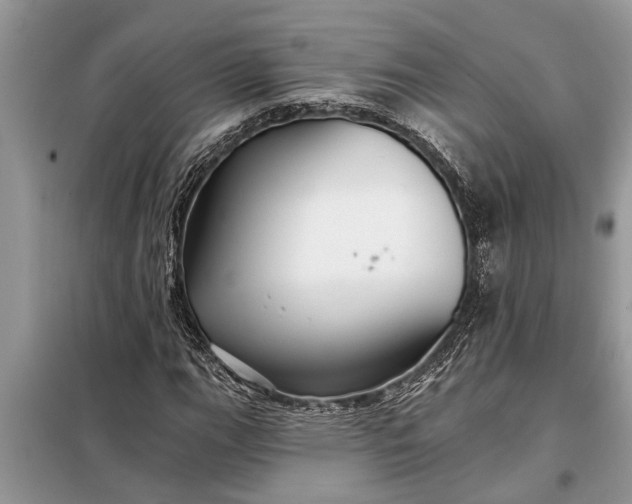 X0000097951111200804070958