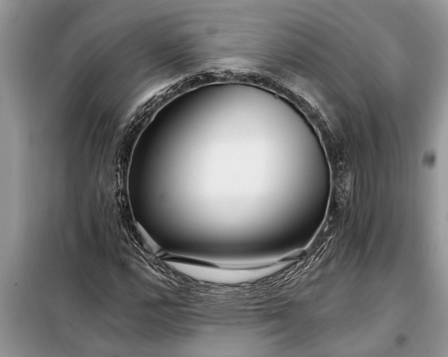 X0000097951112200804070958