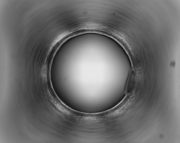 X0000097951114200804070958