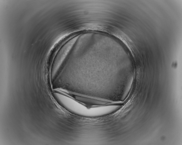 X0000097951115200804070958
