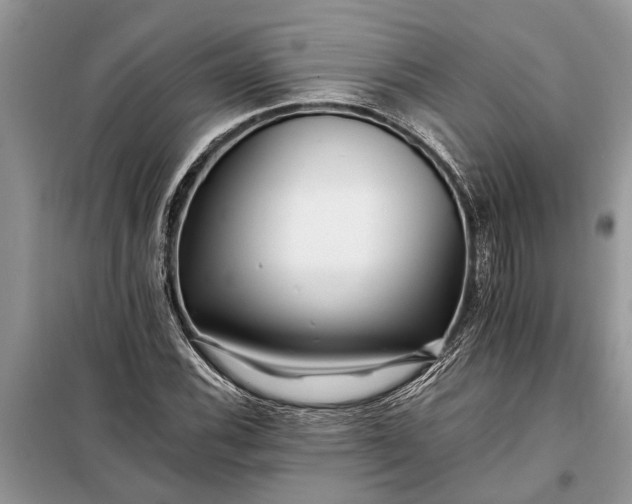 X0000097951116200804070958