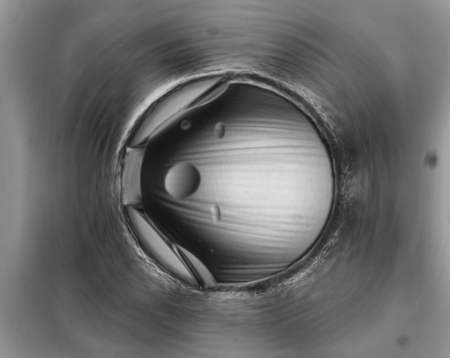 X0000097951118200804070958