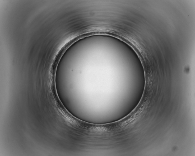 X0000097951119200804070958