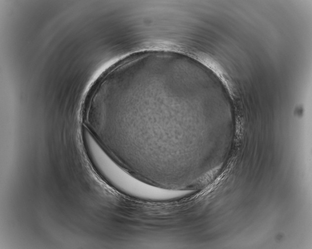 X0000097951120200804070958
