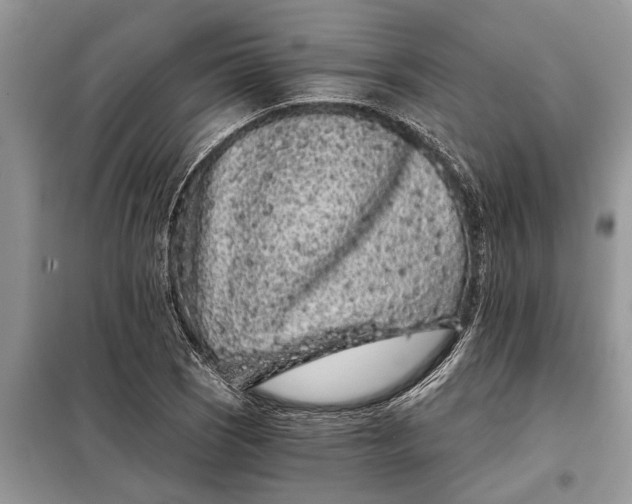 X0000097951121200804070958