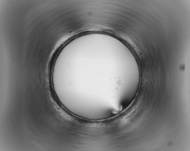 X0000097951122200804070958