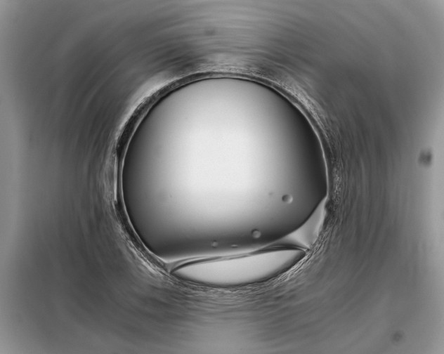 X0000097951123200804070958