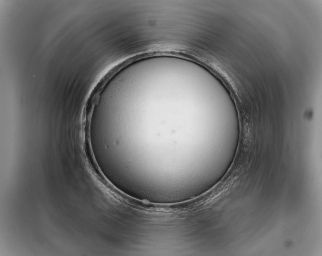 X0000097951124200804070958