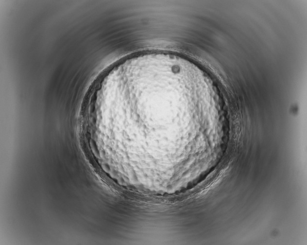 X0000097951125200804070958