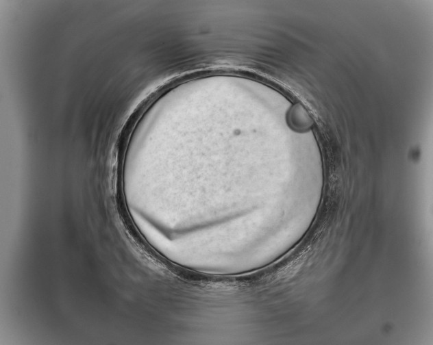 X0000097951126200804070958