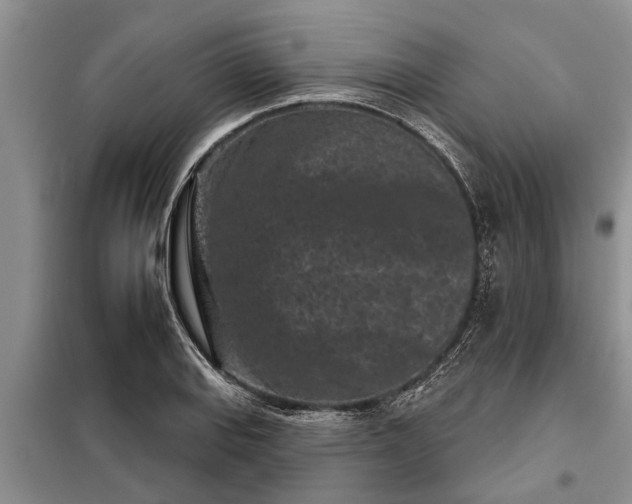 X0000097951127200804070958