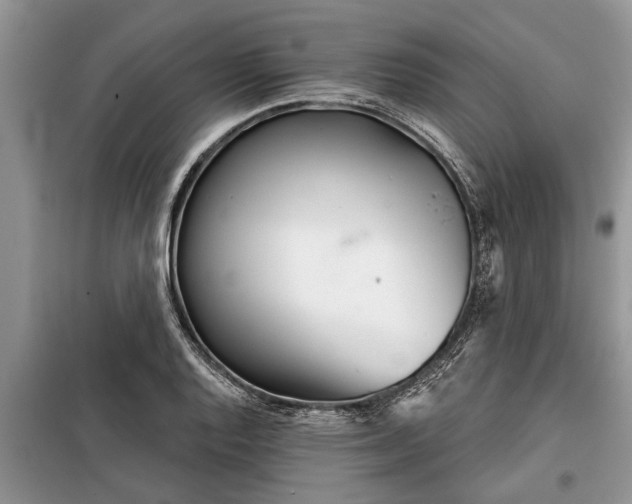 X0000097951128200804070958