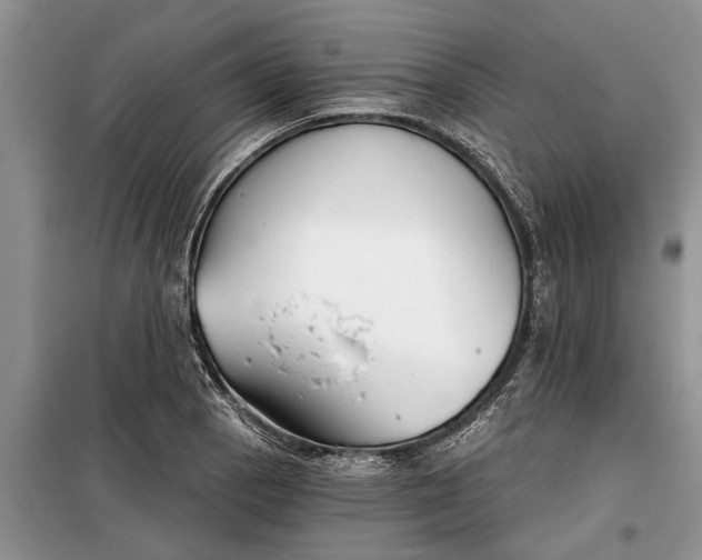 X0000097951129200804070958