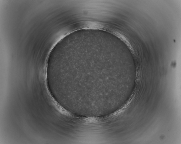 X0000097951130200804070958
