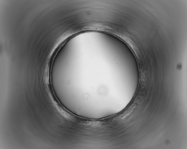 X0000097951131200804070958