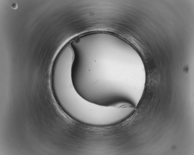 X0000097951132200804070958