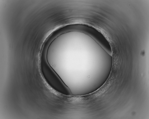 X0000097951134200804070958