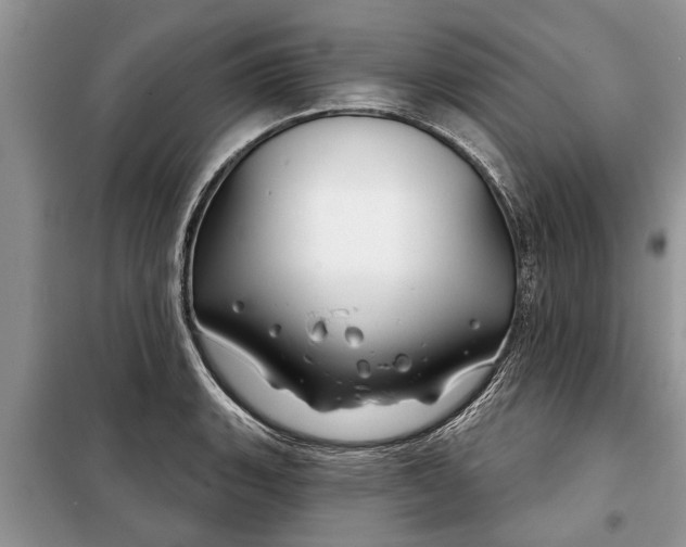 X0000097951135200804070958