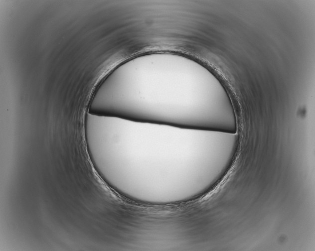 X0000097951137200804070958