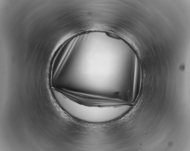X0000097951138200804070958