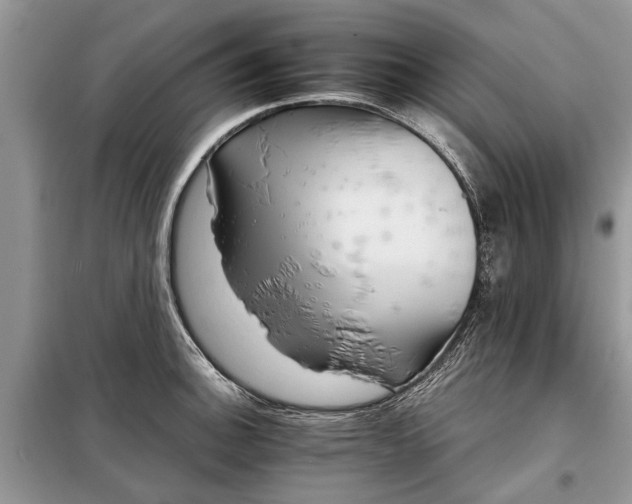 X0000097951140200804070958