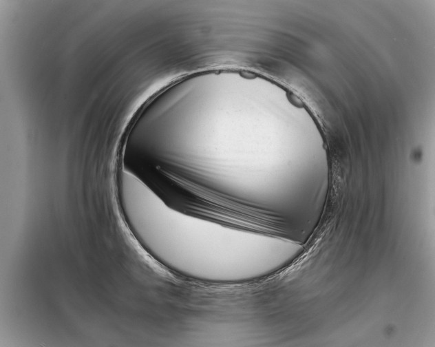 X0000097951142200804070958