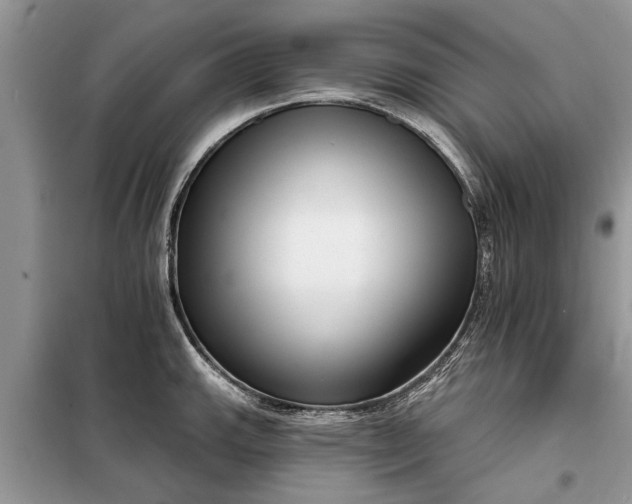 X0000097951143200804070958