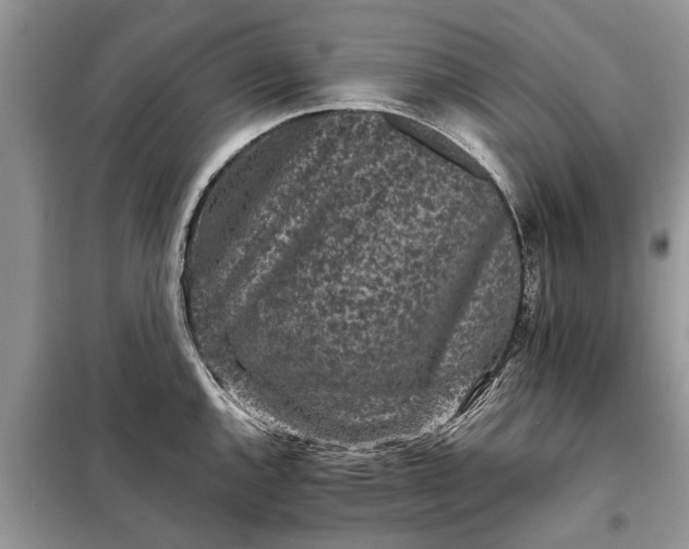 X0000097951144200804070958