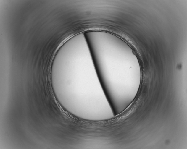 X0000097951145200804070958