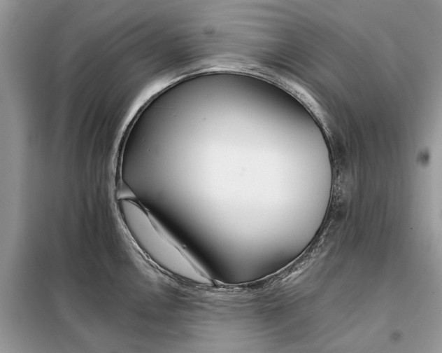 X0000097951146200804070958