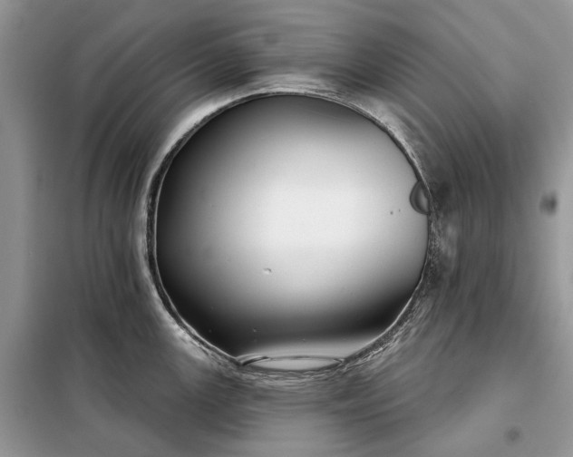X0000097951147200804070958