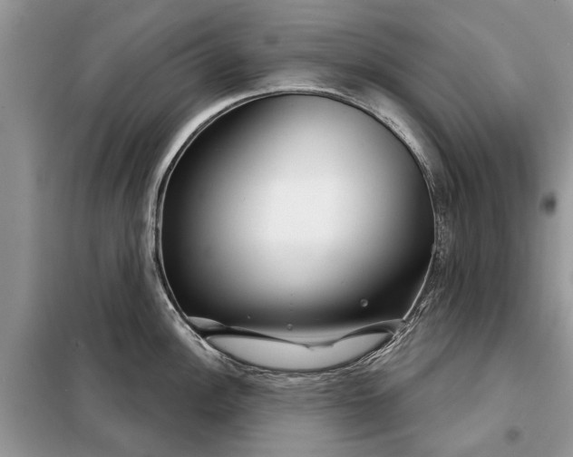 X0000097951148200804070958
